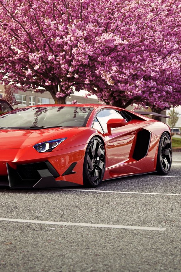 50 beautiful Lamborghini photos 31