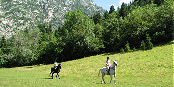 Pristava Lepena Alpine Lodge near Bovec, Soca Valley, Slovenia photo 12