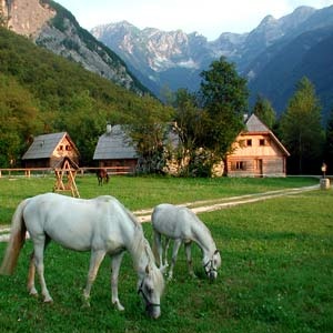 Pristava Lepena Alpine Lodge near Bovec, Soca Valley, Slovenia photo 27